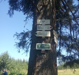 img_20200821_105157.jpg