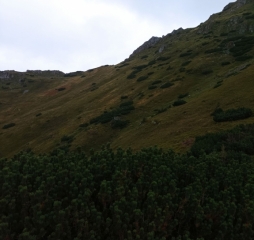 img_20210826_120652.jpg