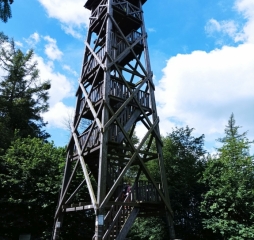 img_20220717_103653.jpg