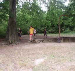 p1012501.jpg