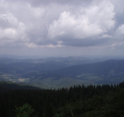p1012421.jpg