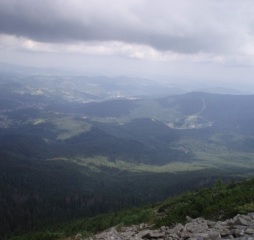 p1012425.jpg