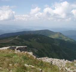 p1012438.jpg