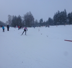 p1030167.jpg