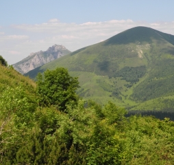 dscn6257.jpg