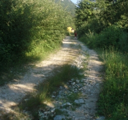 p1010583.jpg