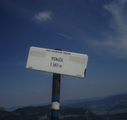 p1010594.jpg