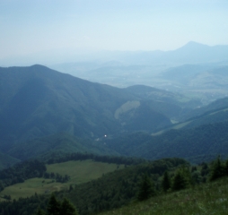 p1010597.jpg