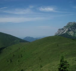 p1010598.jpg