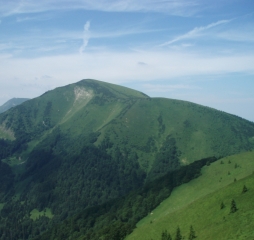 p1010599.jpg