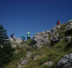 p1010618.jpg