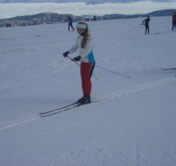 pa290661.jpg