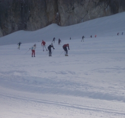 pa290665.jpg