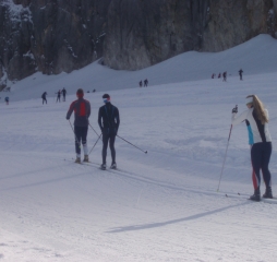 pa290667.jpg