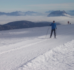 pa290668.jpg