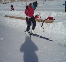 pa290672.jpg