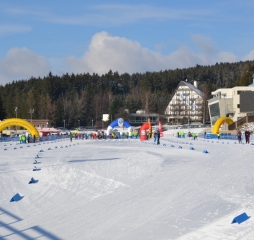 dsc_2513.jpg