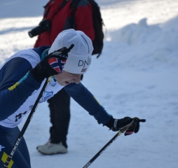 dsc_2520.jpg