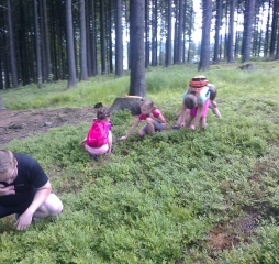 20160618_0004.jpeg