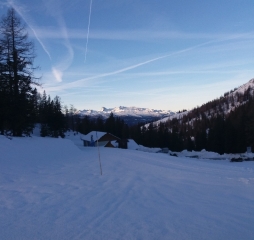 20171123_082002.jpg