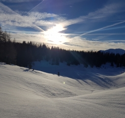 20171123_084650.jpg