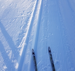 20171123_151124.jpg