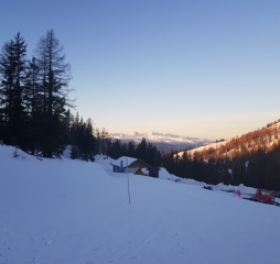 20171124_073808.jpg