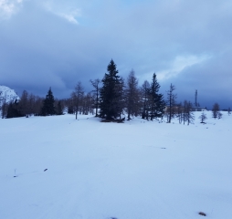 20171125_145124.jpg