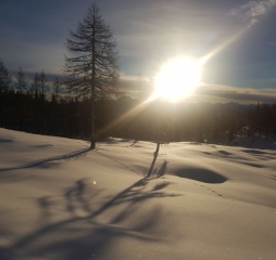 20181216_083403.jpg