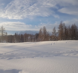 20181216_084017.jpg