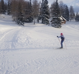 20181216_090817.jpg