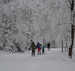 dsc_1406.jpg