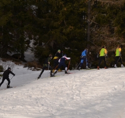dsc_0210.jpg