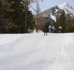 dsc_0207.jpg