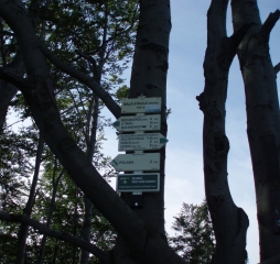 p1010347.jpg