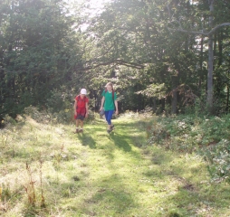 p1010349.jpg