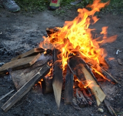 dsc_0667.jpg