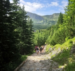 dsc_0430.jpg