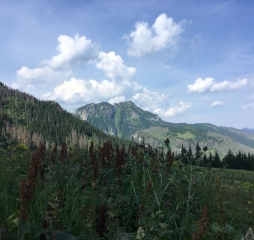 img_3168.jpg