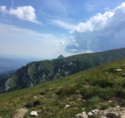 img_3205.jpg