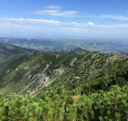 img_3256.jpg