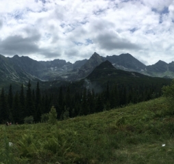 img_3321.jpg