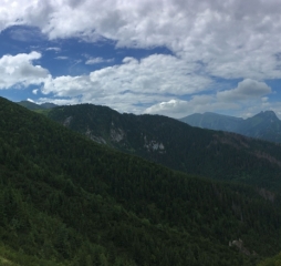 img_3339.jpg